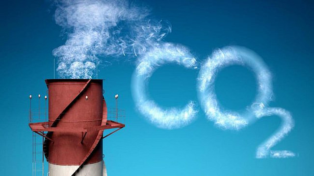 Carbon dioxide emissions from a plant generator